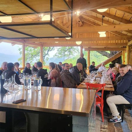 Sadmeli Winery Otel Ambrolauri Dış mekan fotoğraf