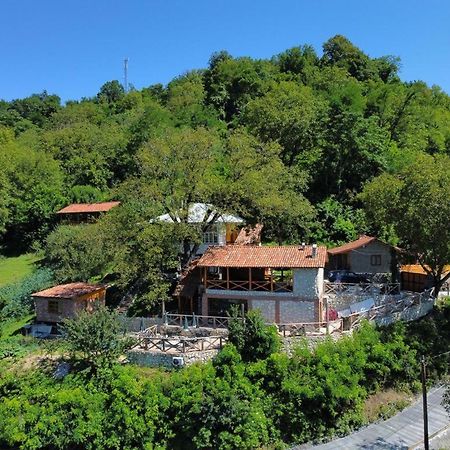 Sadmeli Winery Otel Ambrolauri Dış mekan fotoğraf