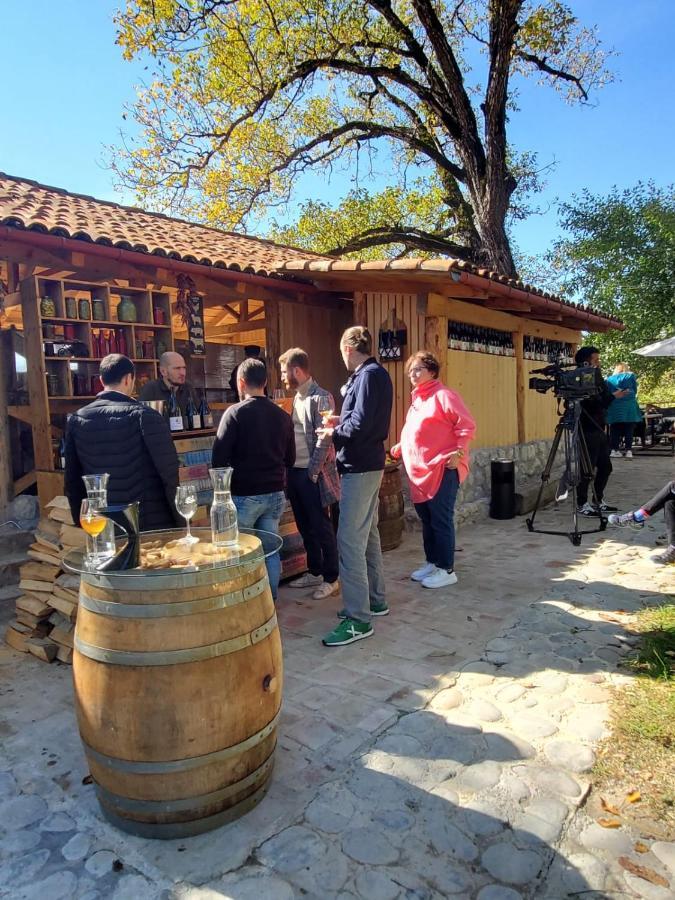 Sadmeli Winery Otel Ambrolauri Dış mekan fotoğraf