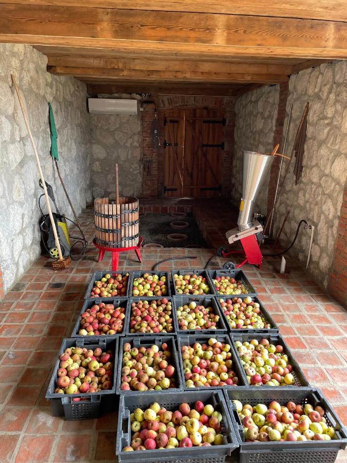 Sadmeli Winery Otel Ambrolauri Dış mekan fotoğraf