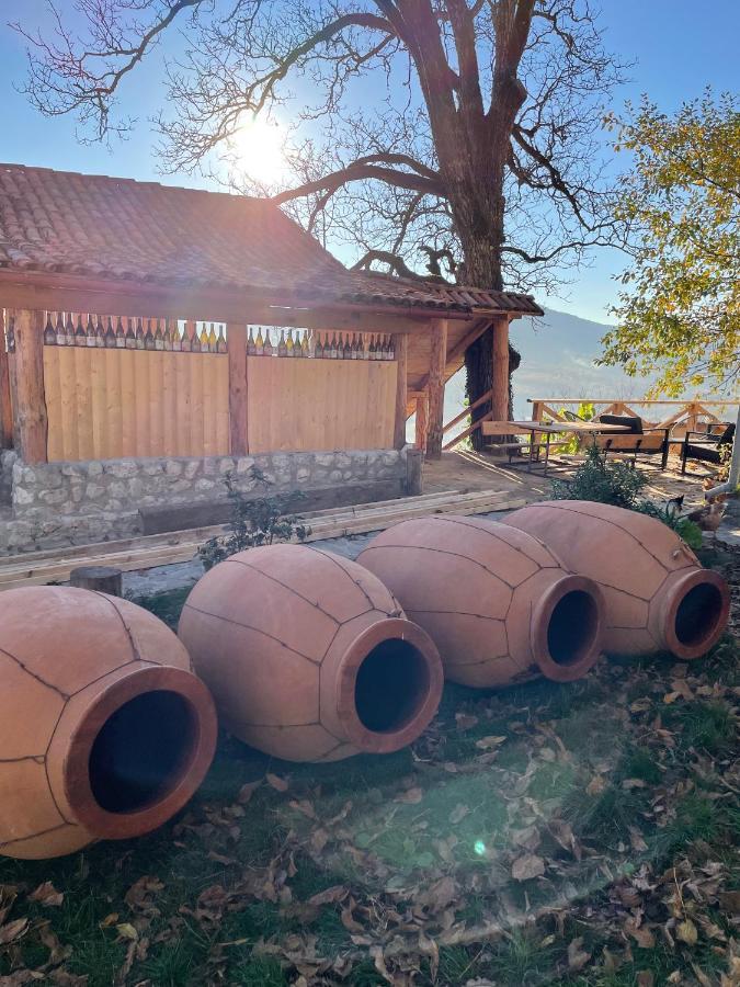 Sadmeli Winery Otel Ambrolauri Dış mekan fotoğraf
