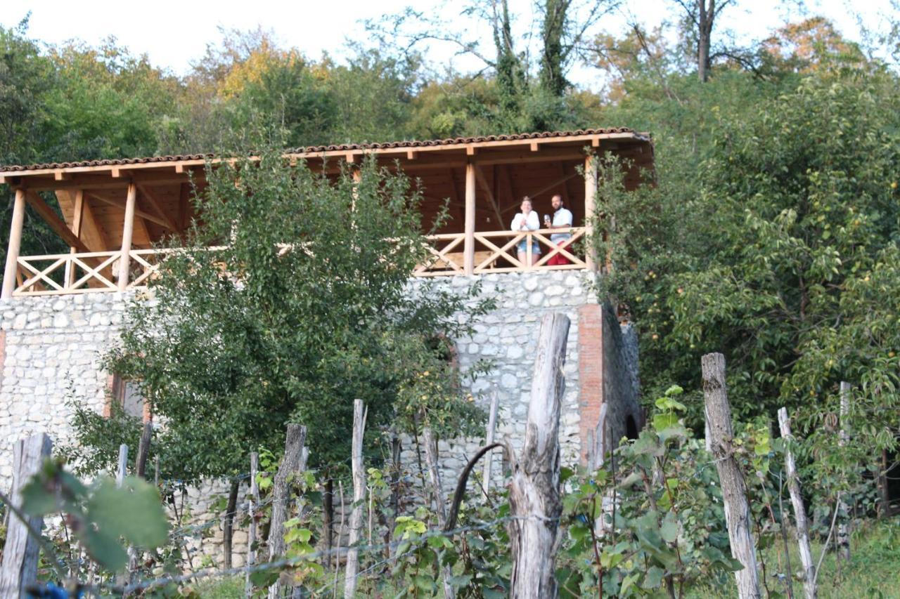 Sadmeli Winery Otel Ambrolauri Dış mekan fotoğraf