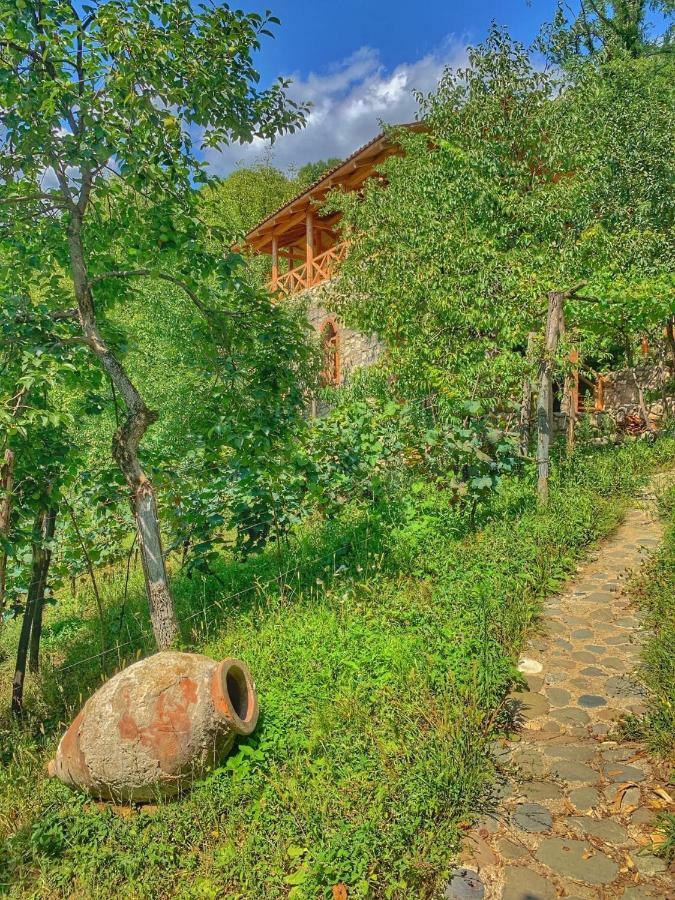 Sadmeli Winery Otel Ambrolauri Dış mekan fotoğraf